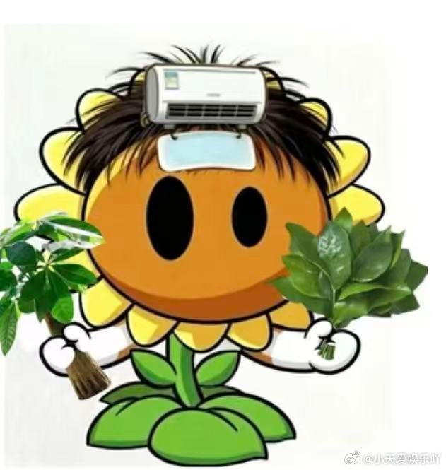 歌迷给薛之谦种太阳薛之谦我们把太阳种出来了 谦友们的爱像太阳，温暖又坚定，种下太