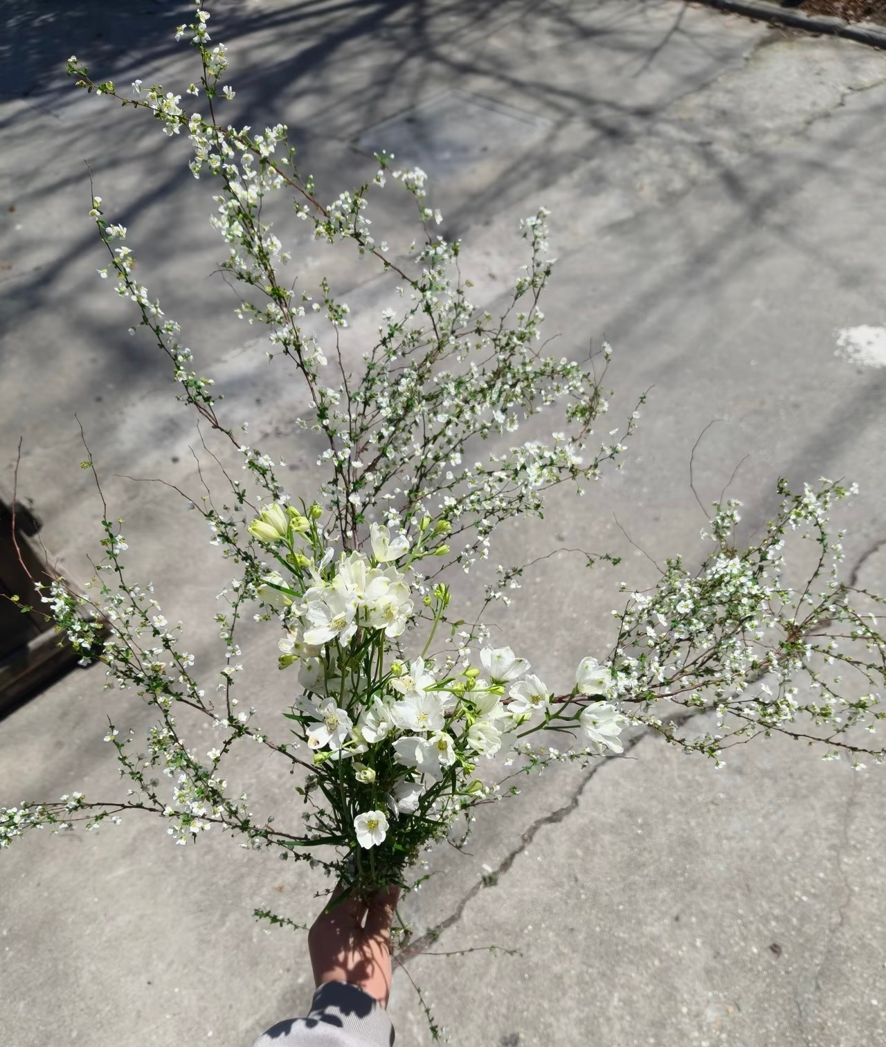 祭祖回来在山上晒了会儿太阳好舒服，明天居然是假期最后一天了，怎么过的这么快啊！！