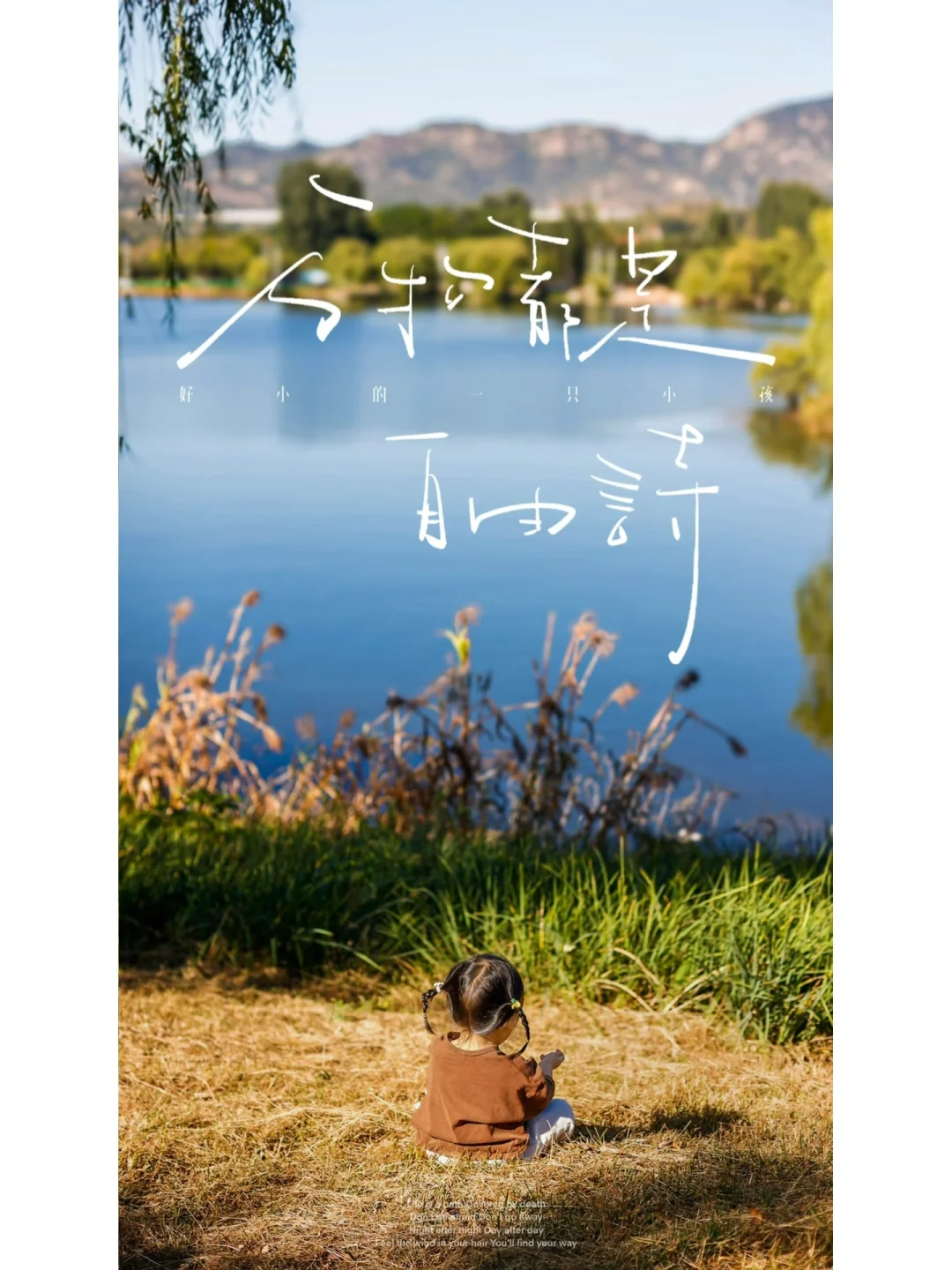 济南露营扛把子🏕️ 周末遛娃的不二之选