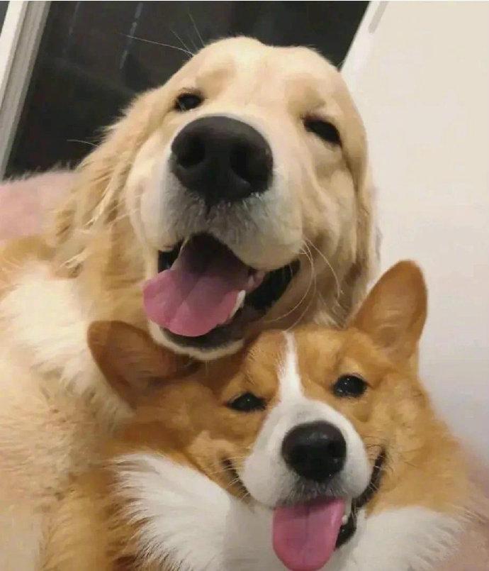 往后余生，风雪是你，平淡是你，荣华是你，目光所至，也是你