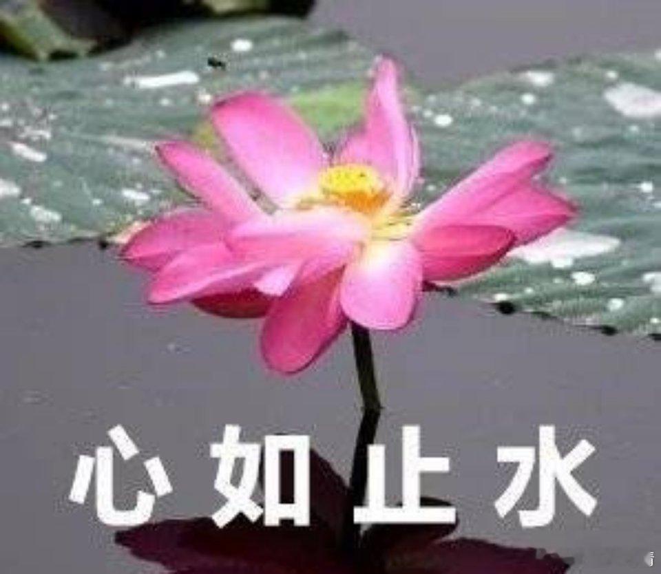 如果因为排片低导致票房那啥，虽败犹荣；那些阴暗操作的高排片拿到冠军也被人唾弃遗臭