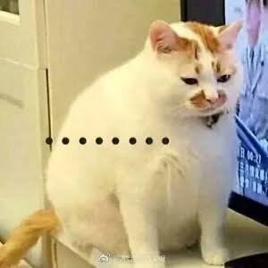 我要一步一步往樓上爬
