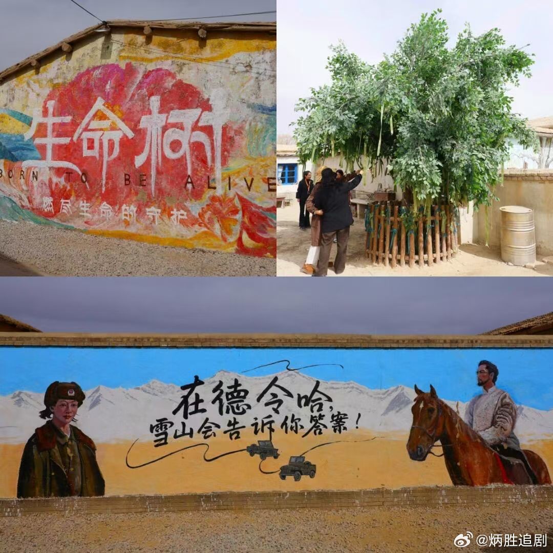 旅游公司出了《生命树》旅游专线，跟着杨紫走进青海，走进白菊的家 