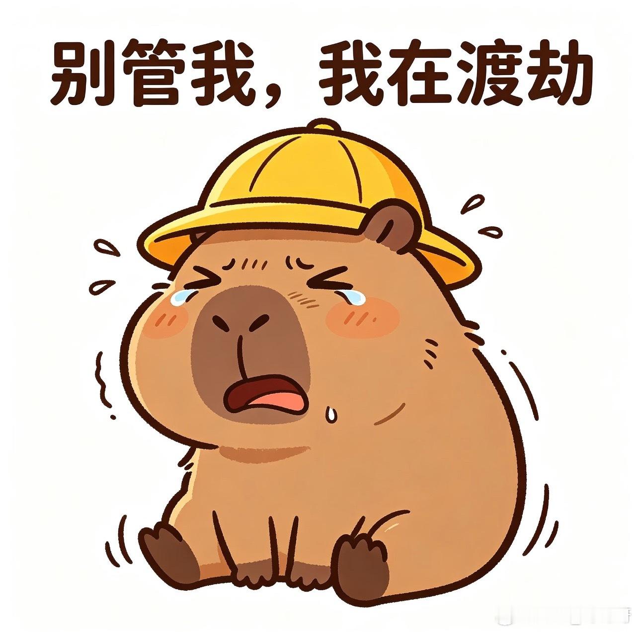 每天睡觉醒来都焦虑。这个金v真的难。 