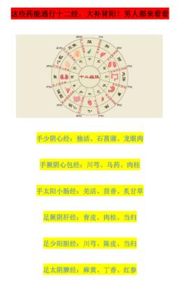 这些药能通行十二经，大补肾阳！男人都来看看
 
手少阴心经：独活、石菖蒲、龙眼肉