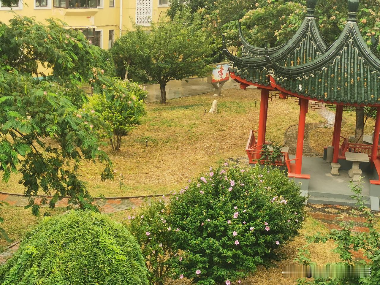 正准备早饭，忽听一阵噼里啪啦的雨声。雨点又急又大，很快停止。

又是一个艳阳天。
