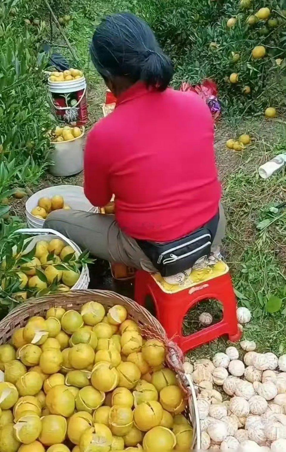 要皮不要肉，城里人真会吃，这要是在我们村，不得打的上窜下跳 ​​​