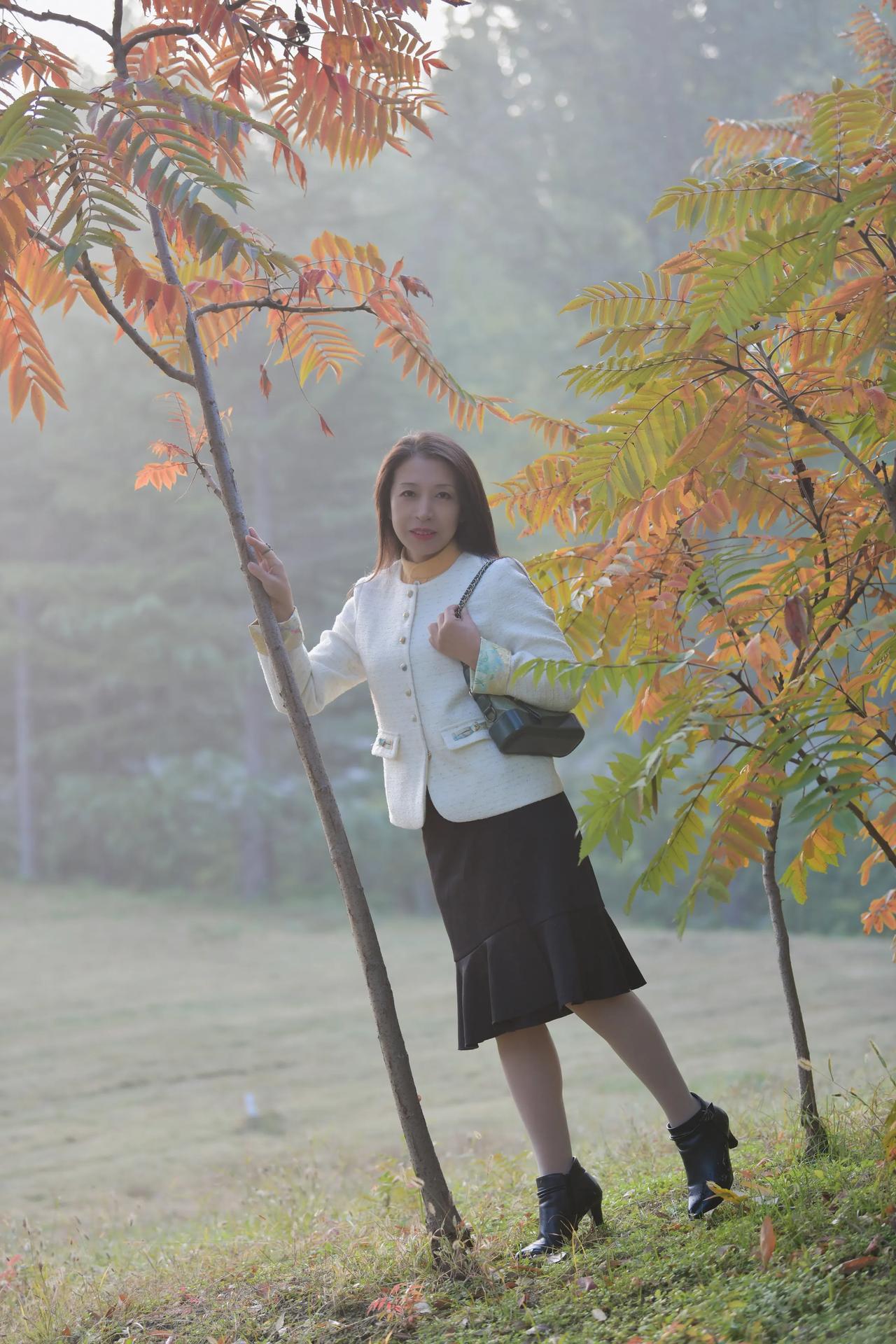秋冬季节，植物园里，风景如画，一切都是金黄色的景色！#秋日美照分享# #美在秋日