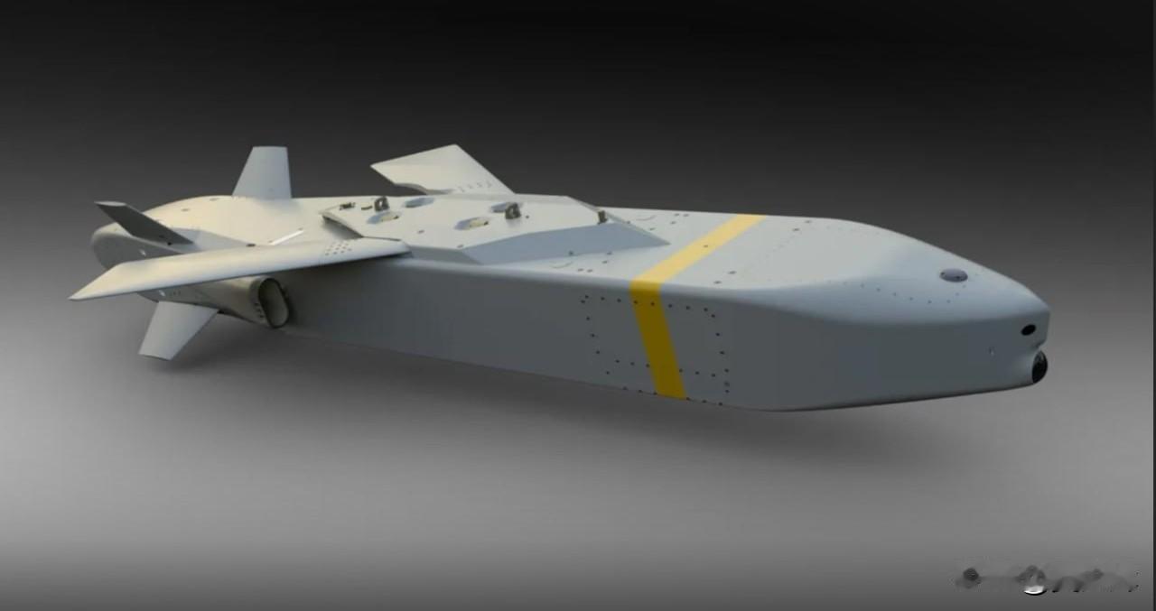 【德国为“金牛座”导弹的大规模、长期化生产建立批量生产线】

德国金牛座系统有限