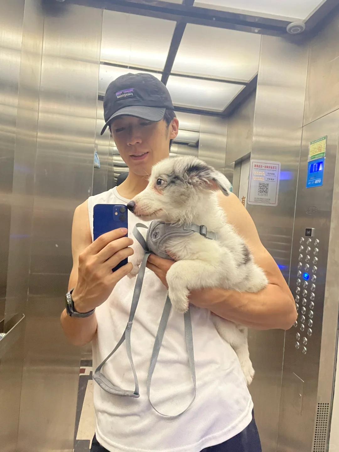 下雨了小狗不开心