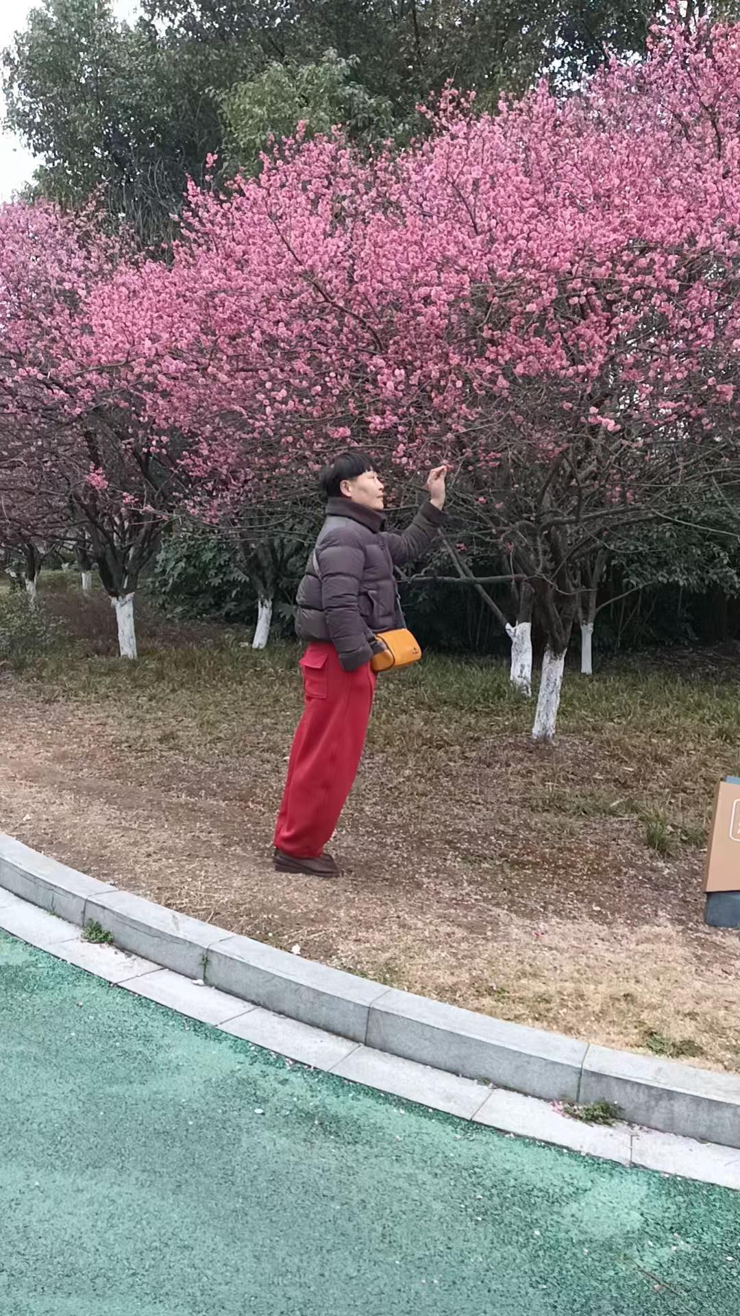 祝大家身体健康，开心快乐每一天！