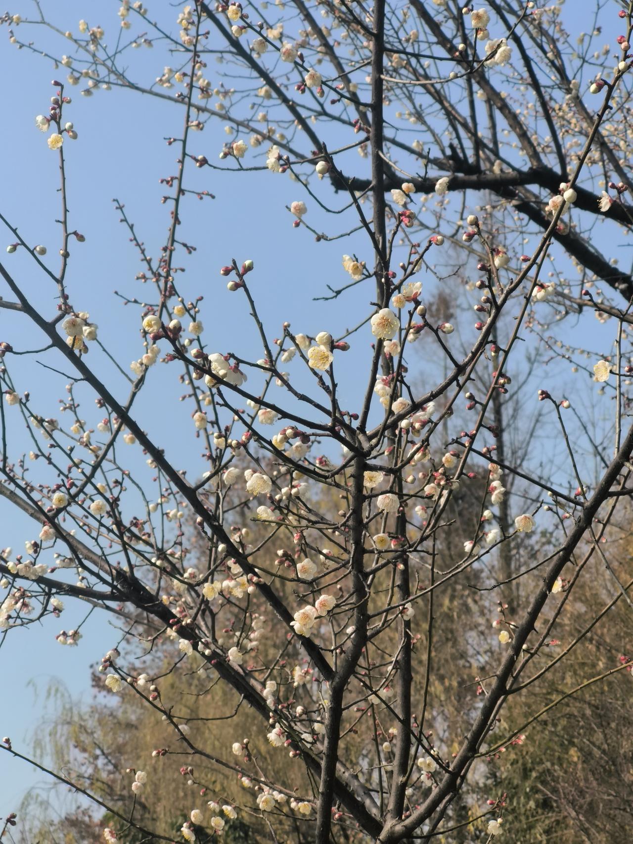 找不到工作了
两个月才投出来五份简历
boss.上给HR发的消息基本都是已读不回