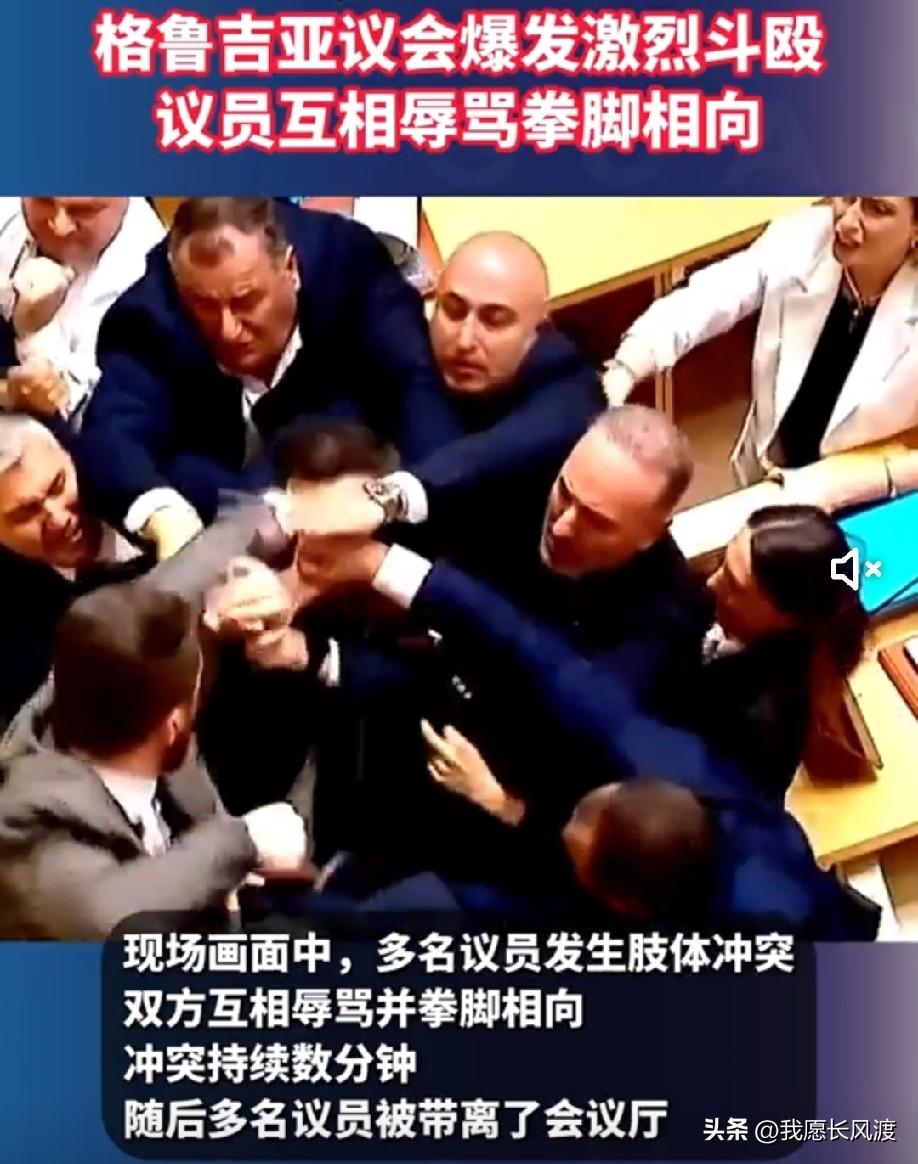 你要是听不进去我的建议，我还会些拳脚[捂脸]
 
格鲁吉亚的诸位“大臣”：文能登