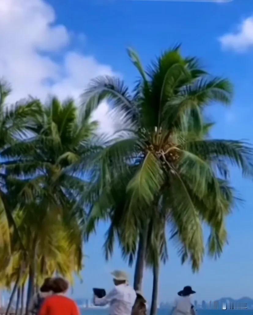 看看你手机里最美的一张照片