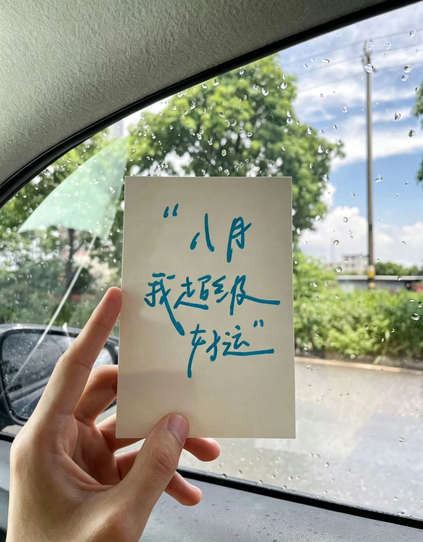 愿八月的每一天快乐又顺心 日子闪光又明亮 
