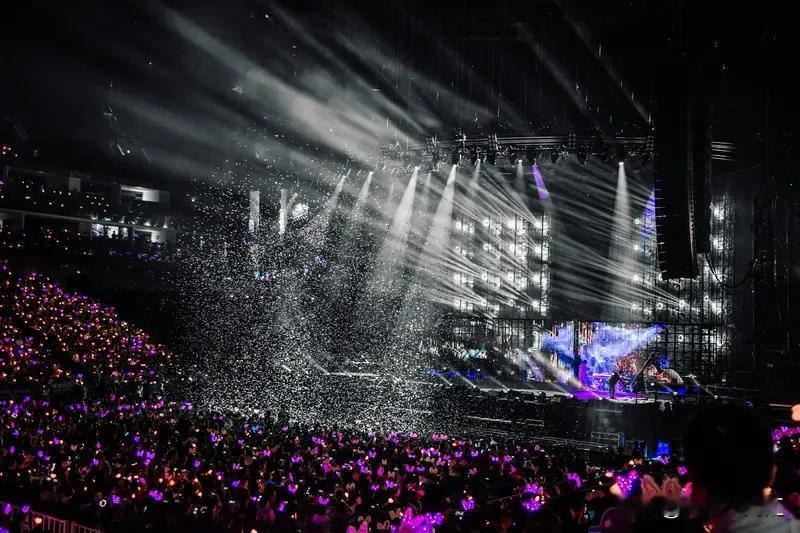 演唱会上冲上台的粉丝心态那可太复杂了。有些粉丝纯粹是太爱偶像了，在现场那种热烈氛