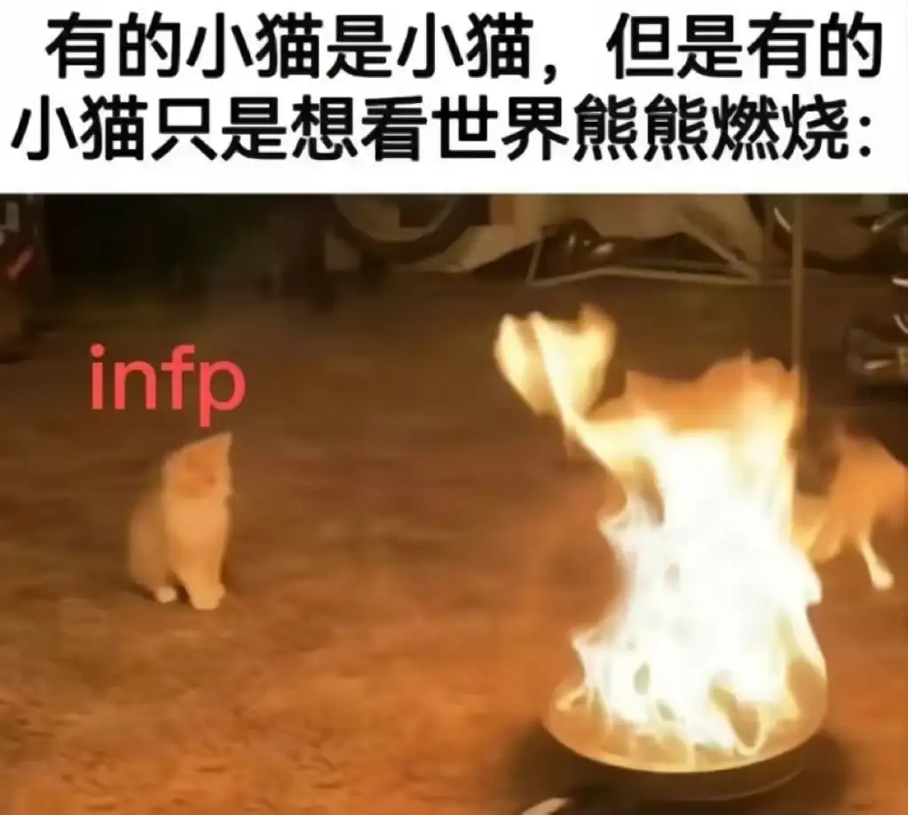 <img src=