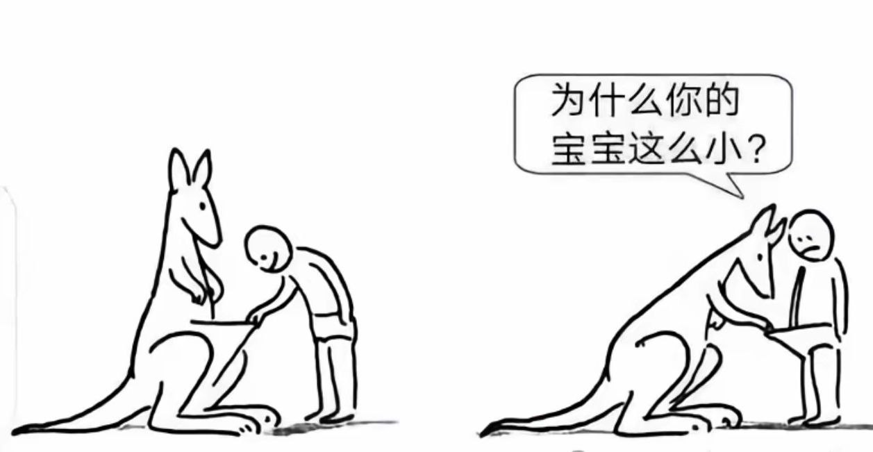 关你什么事😭 