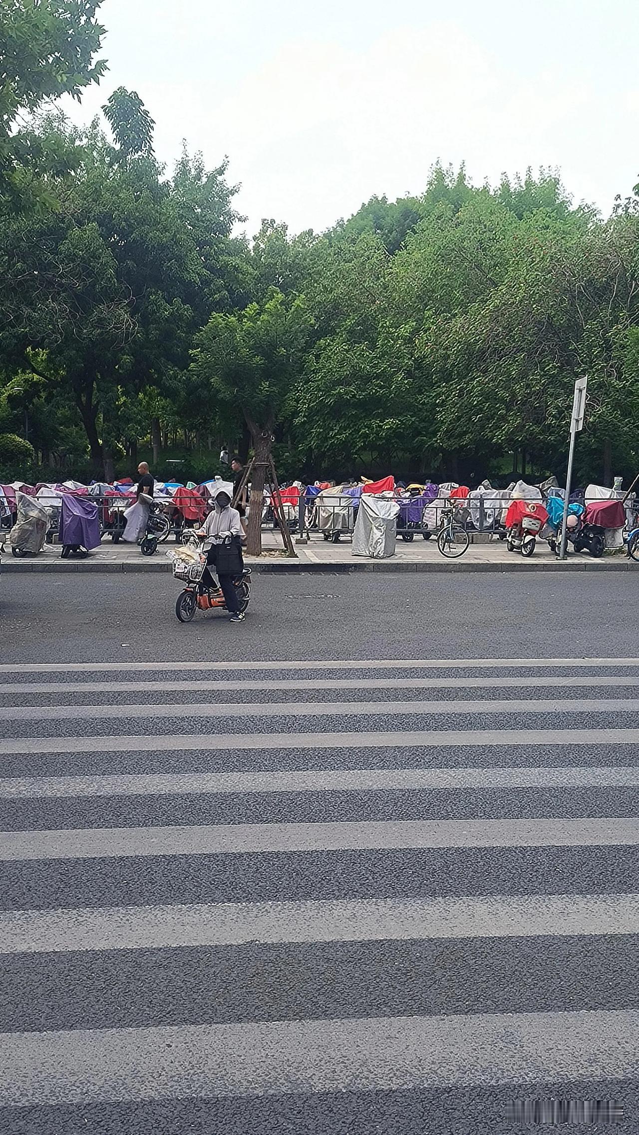 保定存车处“雨衣阵”：壮观背后，车主们不怕丢吗？

保定这几天天气不好，存车处里