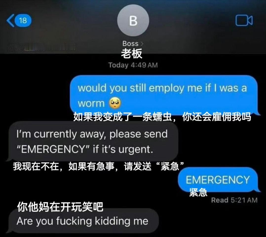 真笑了 