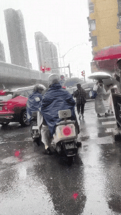 下雨天也浇灭不了路怒症的火气。