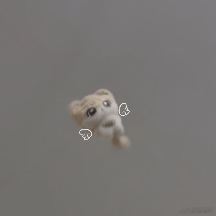 哼栗起飞 
