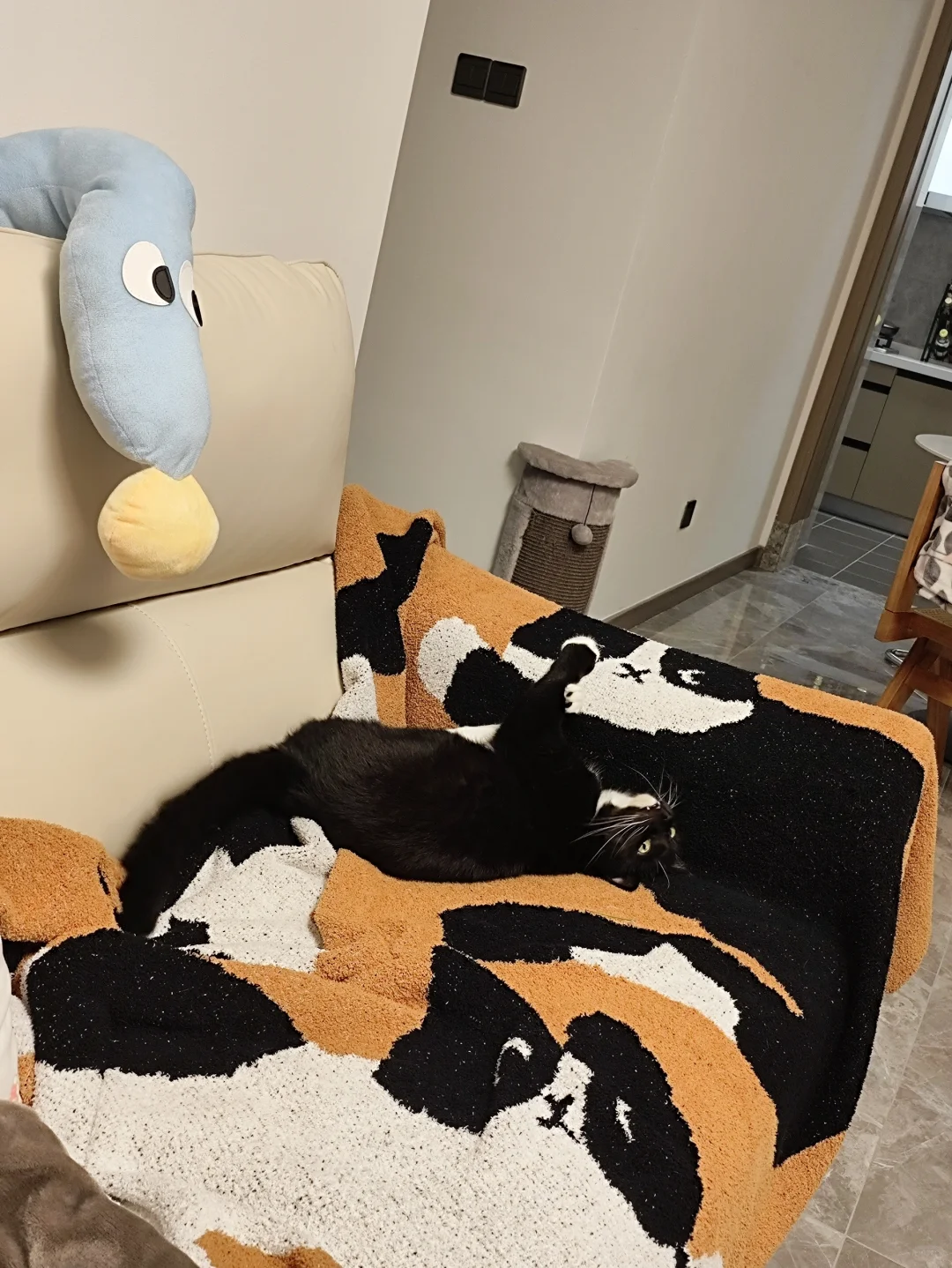 找猫！最像毯子上印花的一集