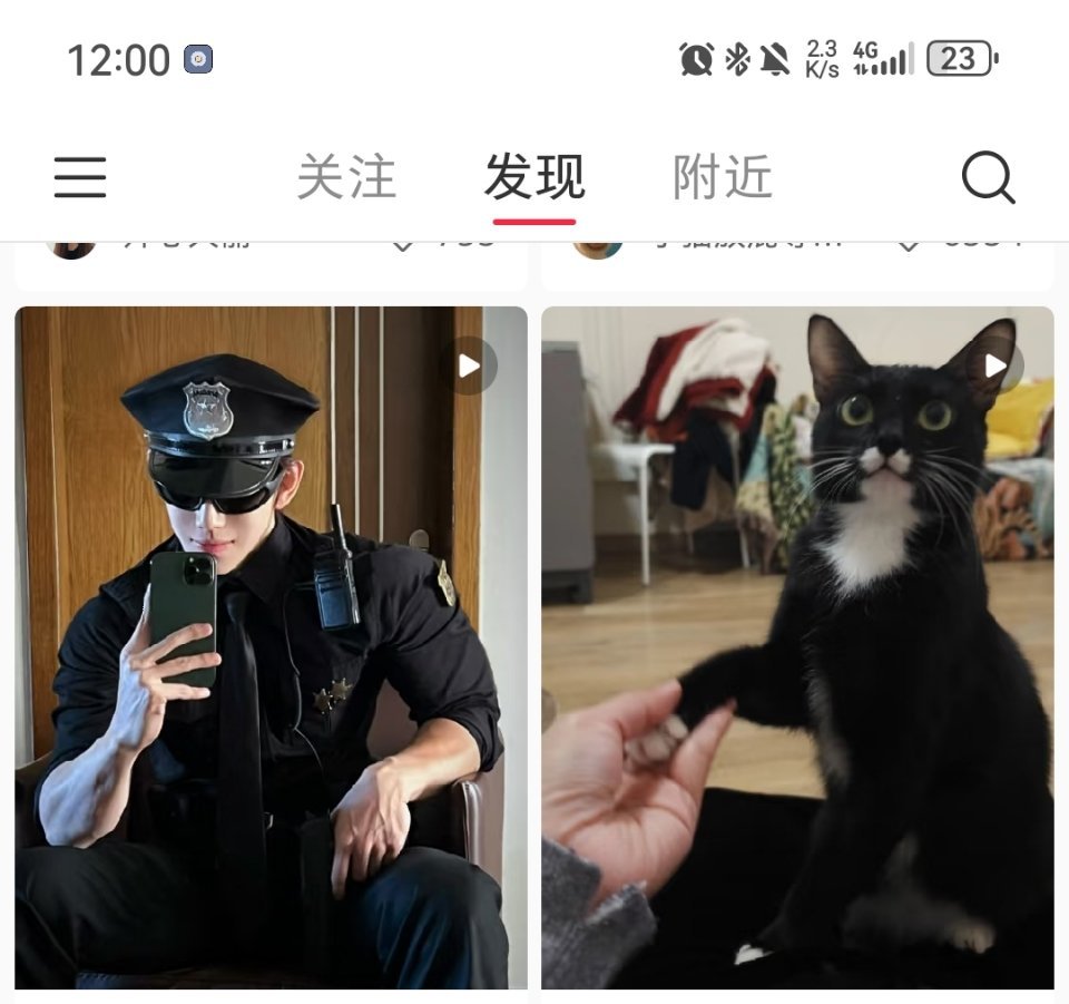 小🍠排版确实有点东西，奶牛猫拟人化[二哈] 