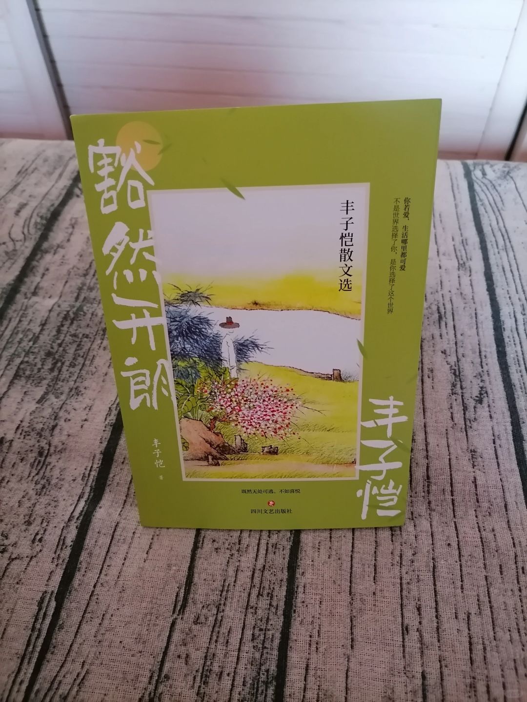 你若爱，生活哪里都可爱