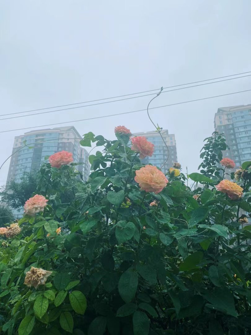 能量不足时，以下方法可有效恢复能量：1.多睡觉，恢复身体机能。2.保持适当运动，