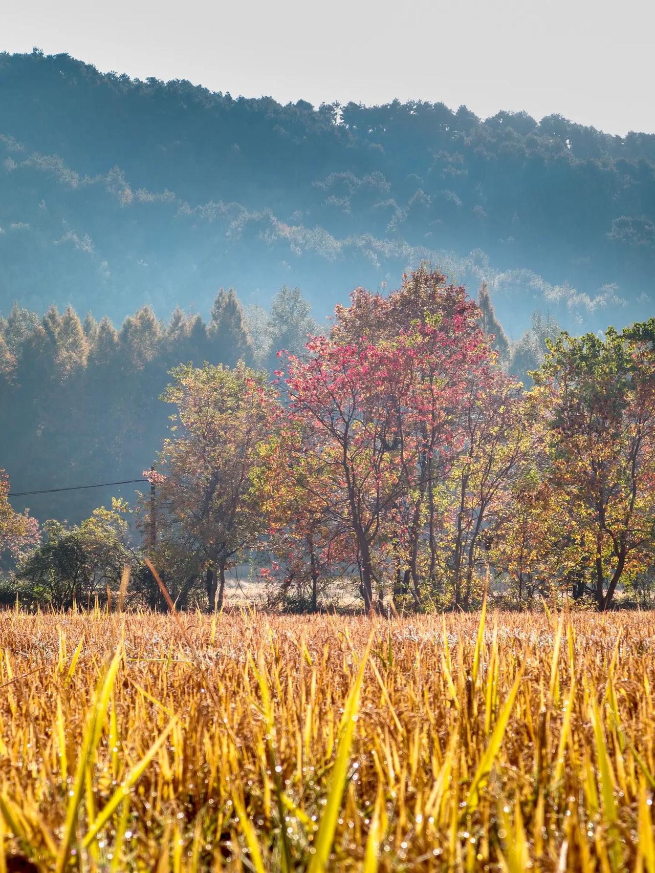 刚刚看了一个985毕业的硕士研究生，在抱怨自己的工作状态。其实我觉得这个心态是非