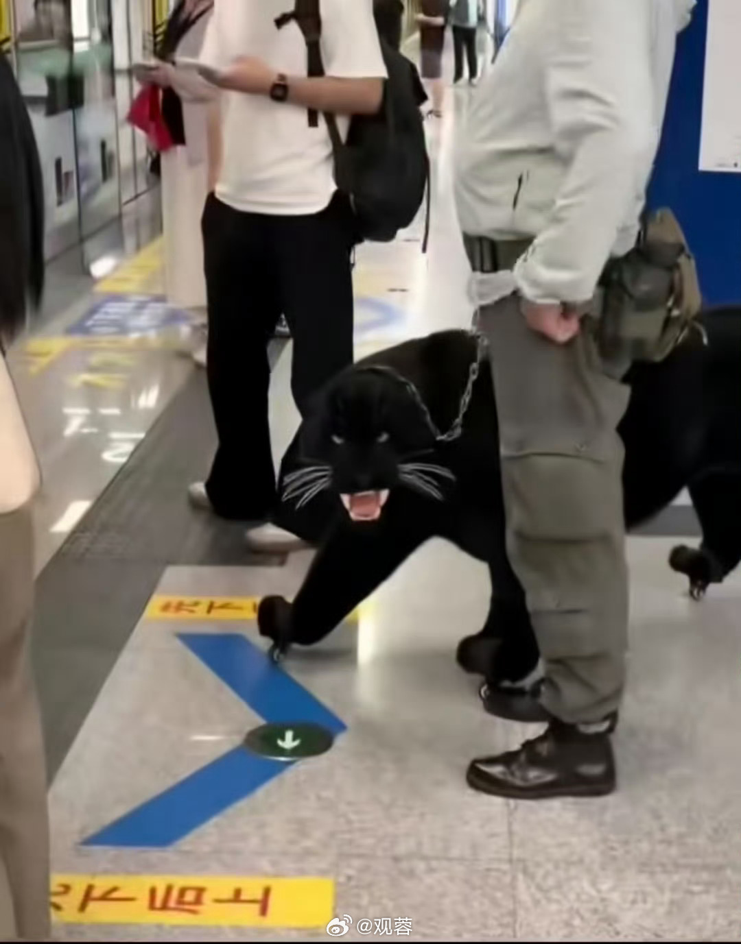这吓死人得赔钱吧……[傻眼]黑豹地铁地铁 ​​​