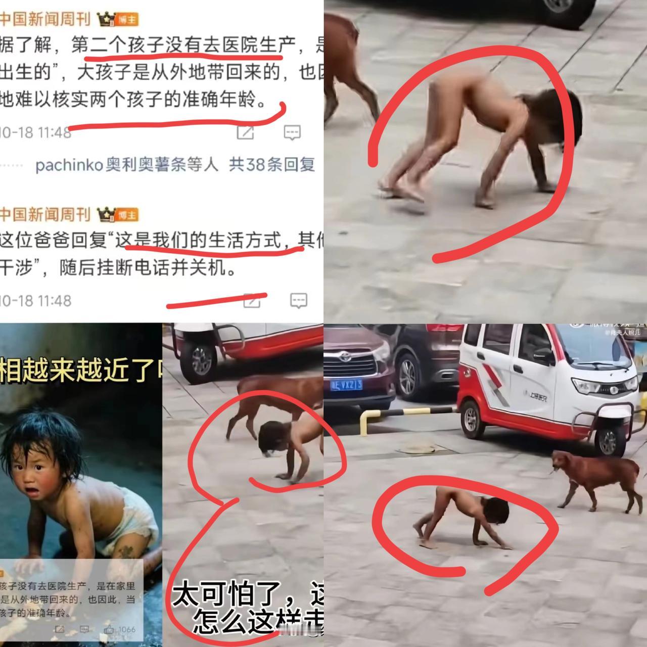 这家人要是没问题，
我都觉得说不过去!
 
孩子爸是大学学历，孩子妈是研究生学历