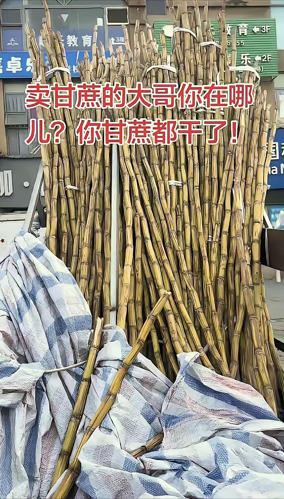 太暖心了，四川，一男子发现，楼下常年摆摊卖甘蔗的大哥从过年之后就没出摊了，路边三