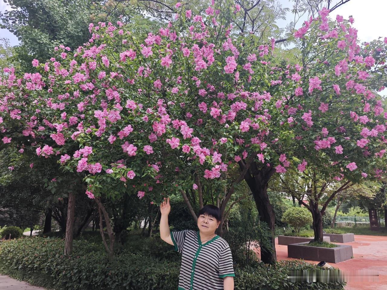 追逐清凉，主动洗肺，启动一下也挺麻烦。感觉自己已经很认真了，还是遗漏了好几件东西