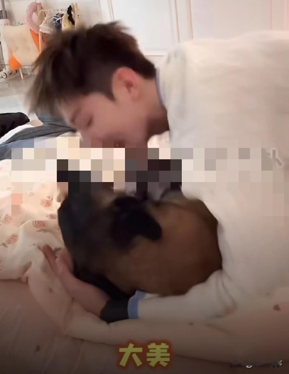 高迪直播有节目，躺床上搂抱爱犬“捷豹”比作大美，亲完又掐脖子警告：美美子，以后见