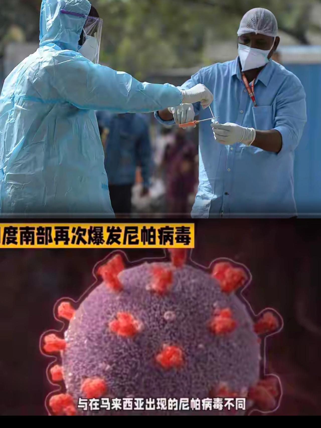 印度那边的消息，看得人心惊肉跳。

西孟加拉邦，尼帕病毒又卷土重来了。

这玩意