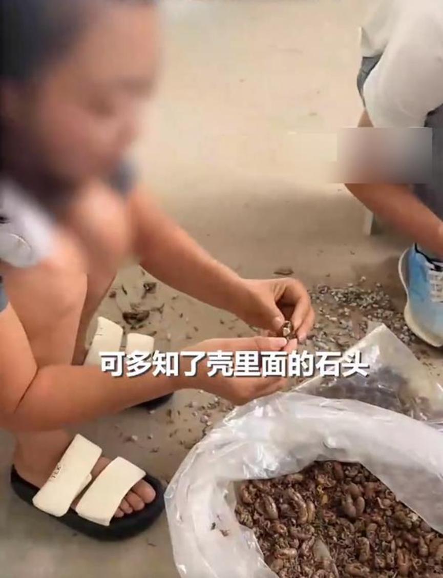 “坏了良心！”陕西铜川，一女子收购知了壳，看卖家是个老人，就将原本325元1斤的