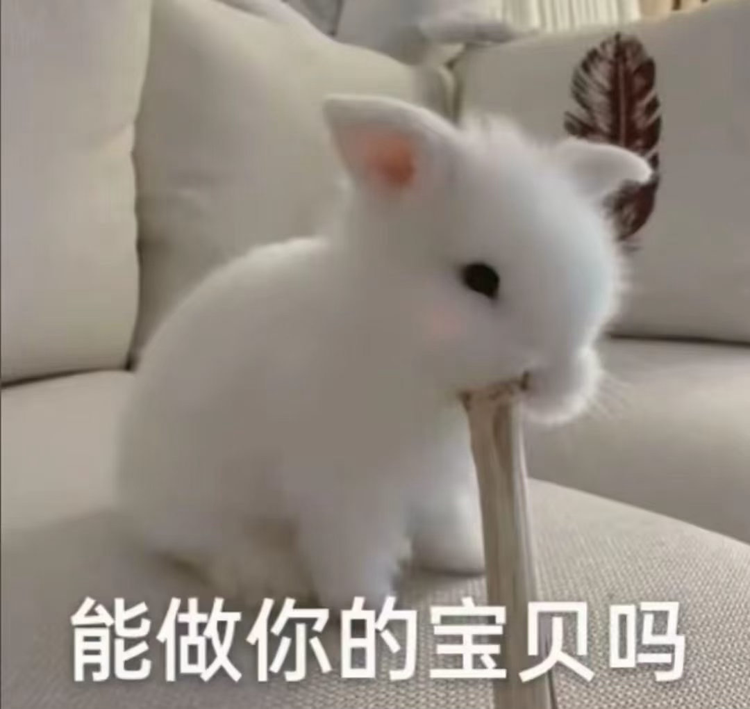 分享图片 