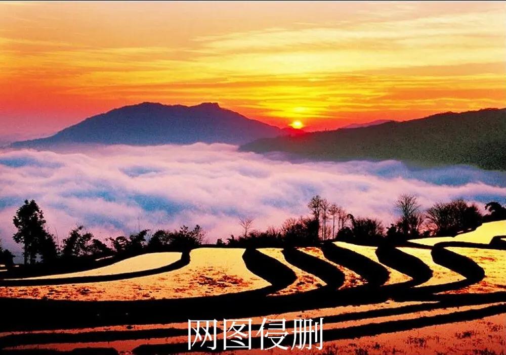 无论过去还是将来，这四类人永远是国家民族前进道路上的公敌。
一、一无是处的恨国党