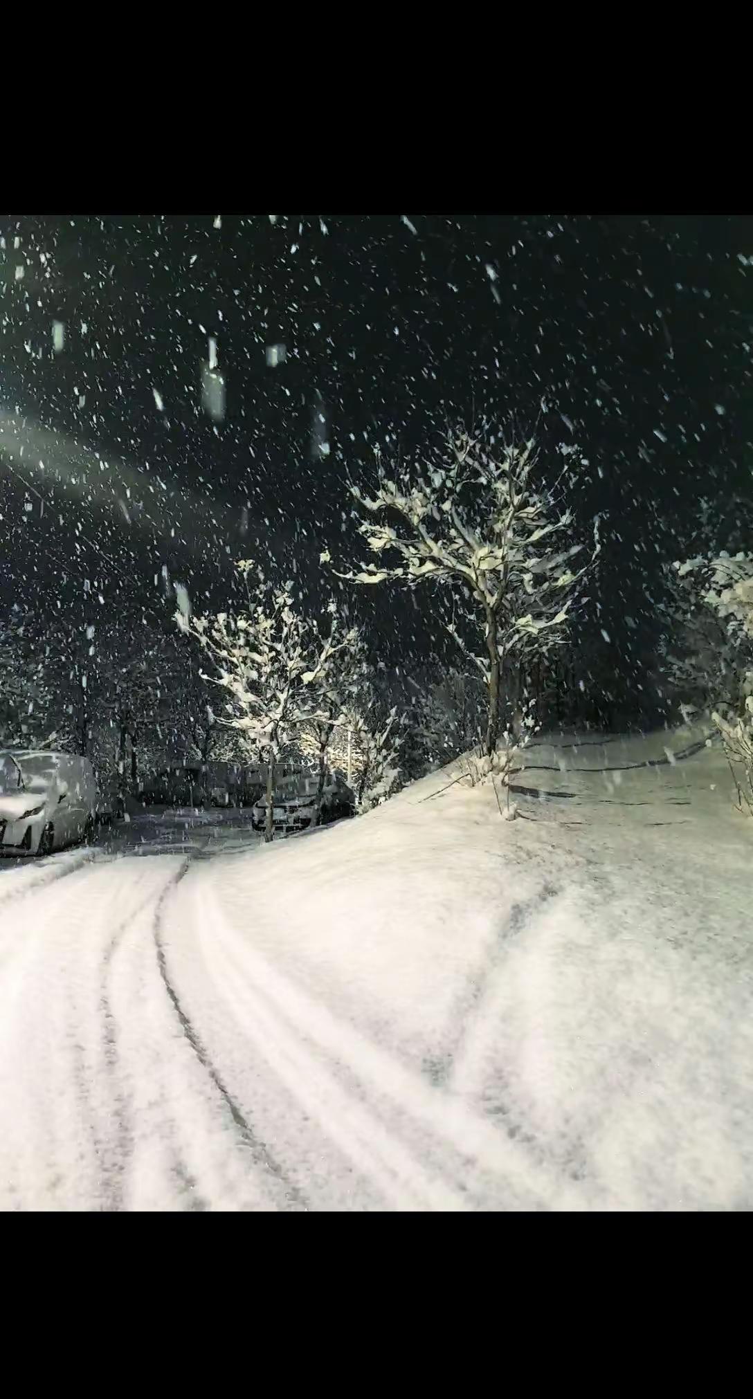 北京下雪了，你那里🌨了吗？无意间发现生活的诗意美 北京下雪 正月十六雪打灯 原