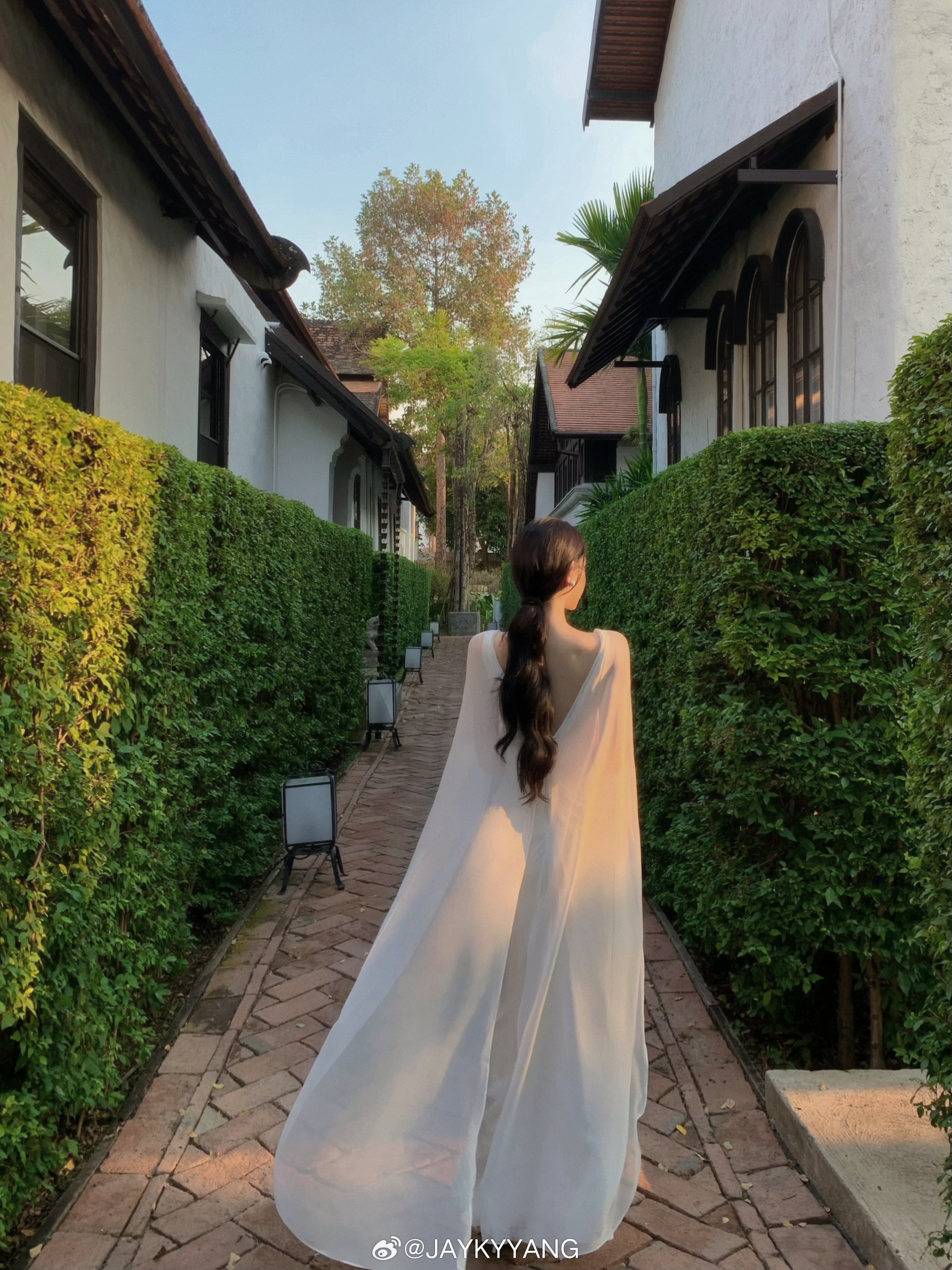 这是一条纯享版的神性美…🪽这一身不论是黑还是白都美绝了 