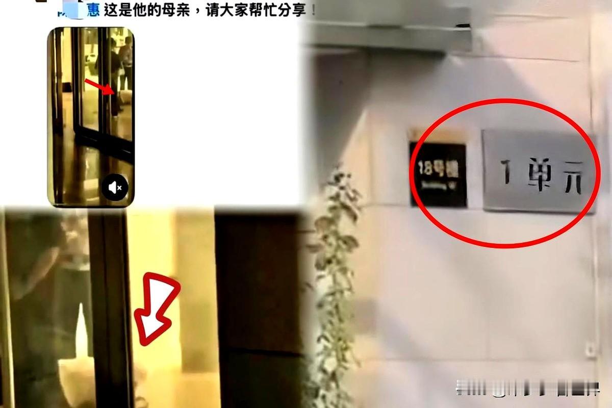 捐款救不了单亲妈妈！
丧子后，脆弱藏不住，缺的根本不是这点钱。
捐款无法解决根本