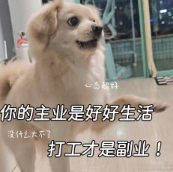 这届年轻人专治没苦硬吃这届年轻人把享受生活玩明白了 这届年轻人太懂生活！专治没苦