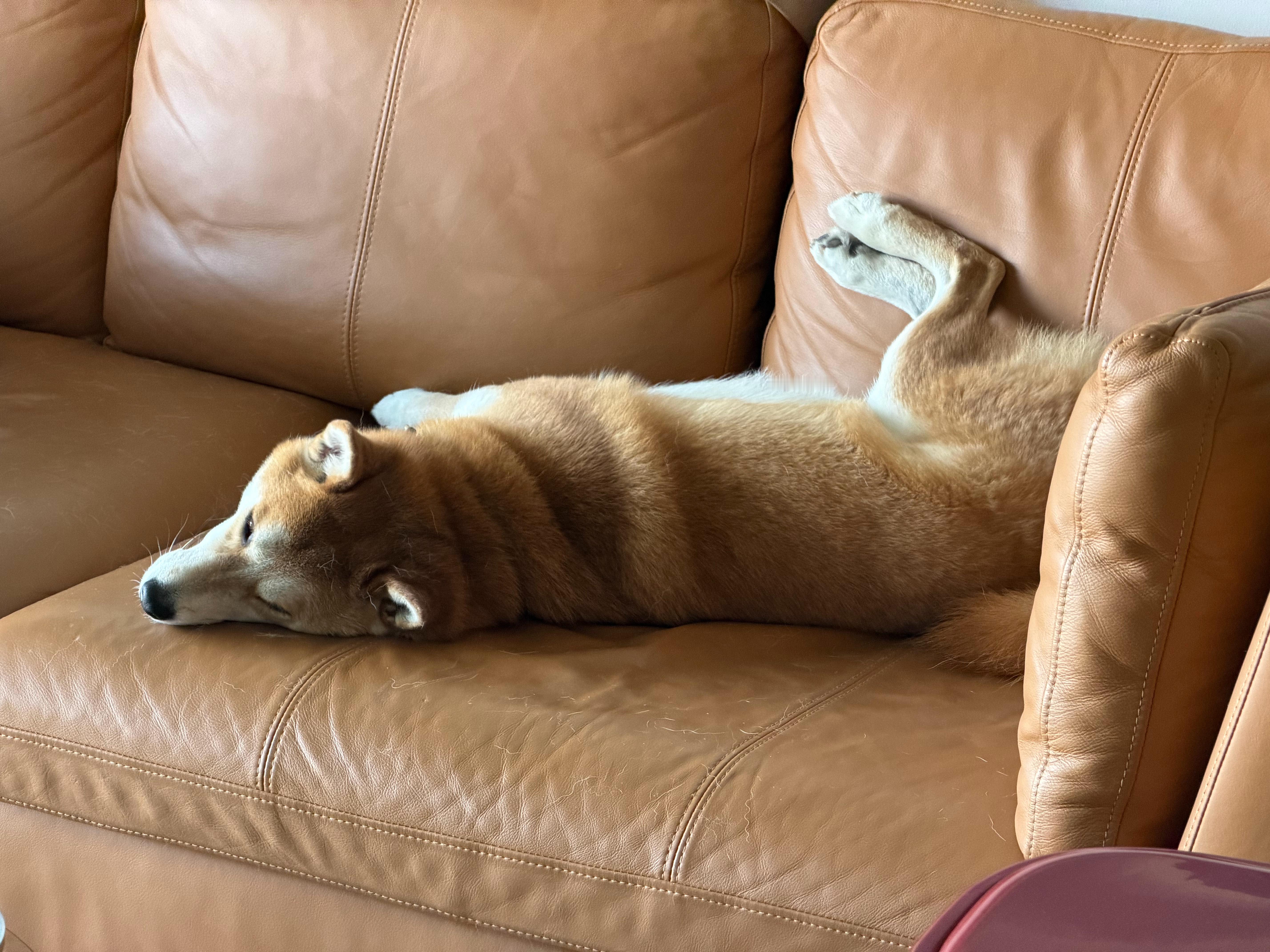 做人一定要有理想不然就会像少爷一样... 