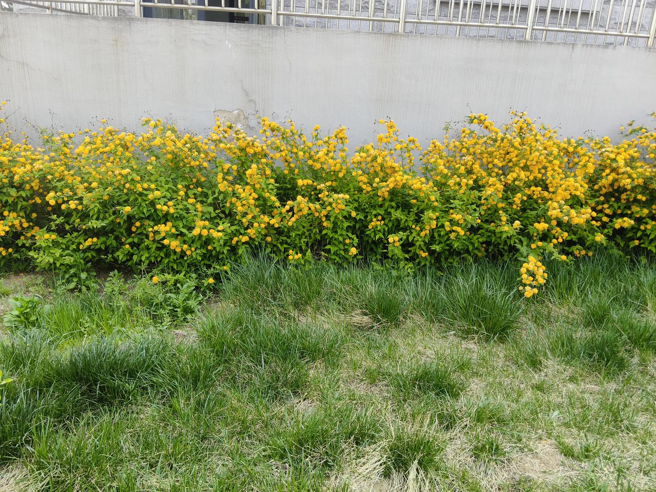 这个人了不得，他能抓住很大一批人的痒痒心，并且有针对性的输入那些赢麻了的观点。