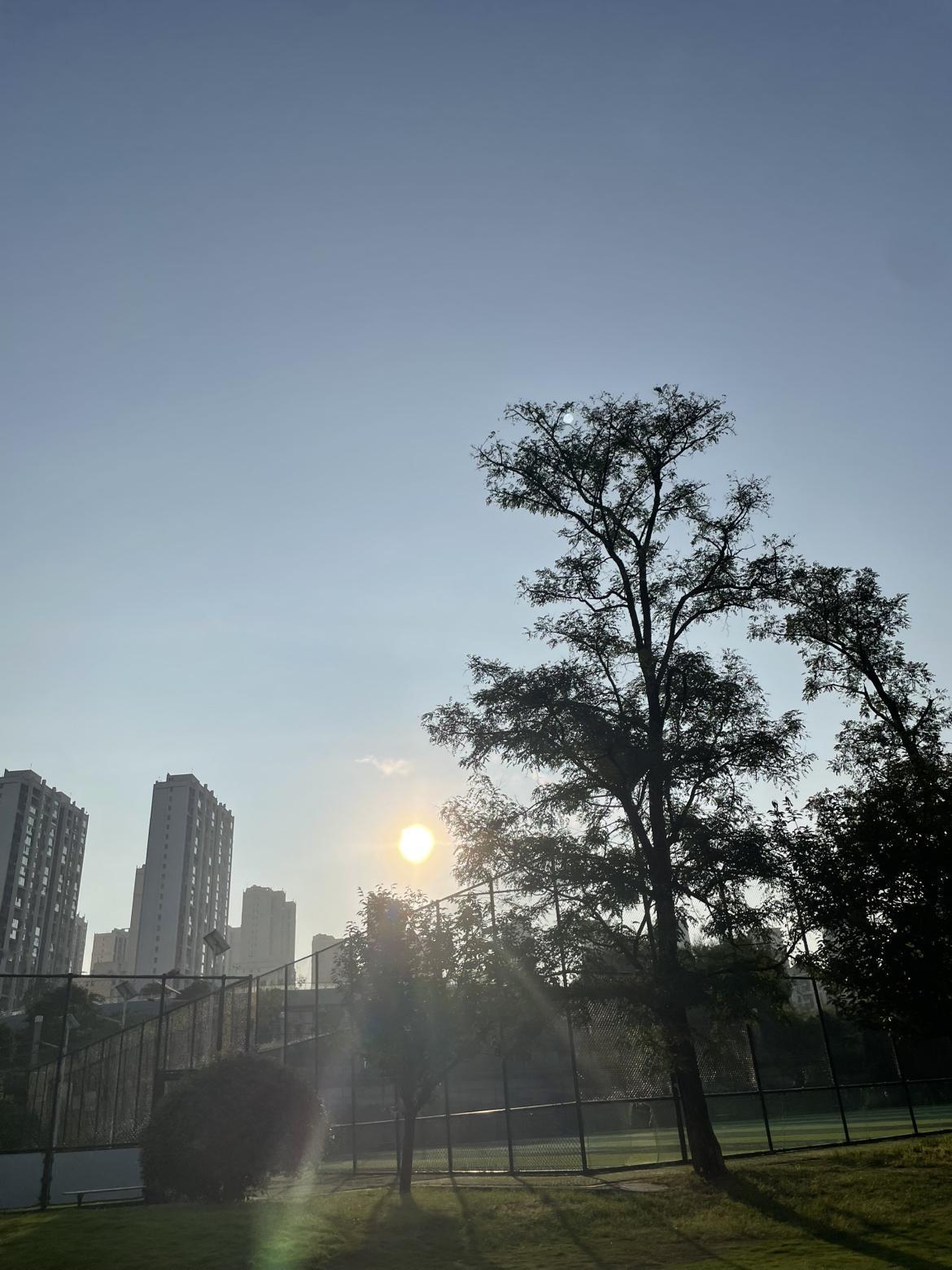 我的今日状态：😁轻松愉快
我这里的天气：☀️晴天
