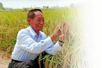 70年代有校办工厂，而且还搞菌肥研究，那时的老师外出进修，回来讲授农技，化工等知