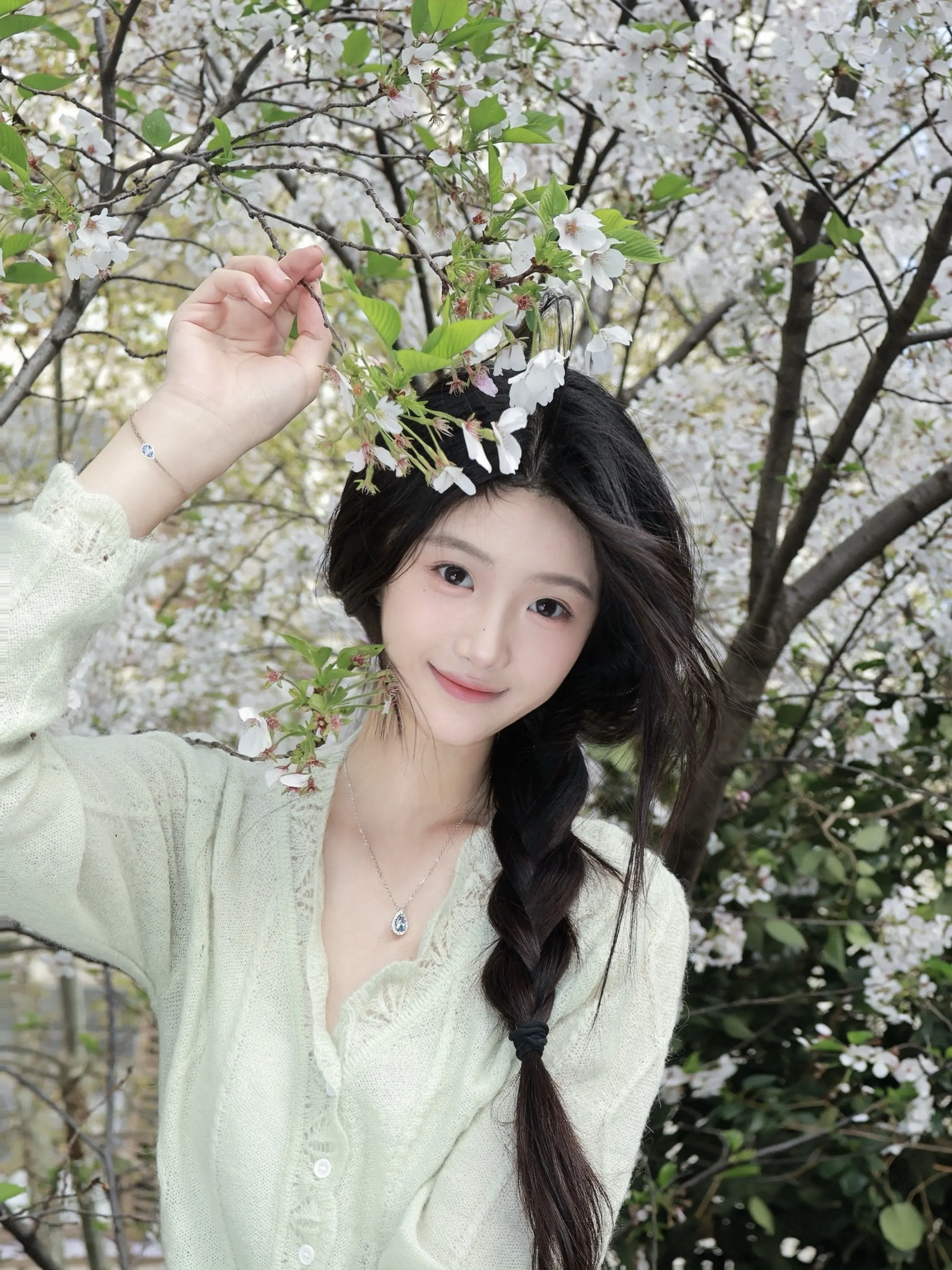 ‧₊˚ꕤ 𝐒𝐚𝐤𝐮𝐫𝐚.白樱