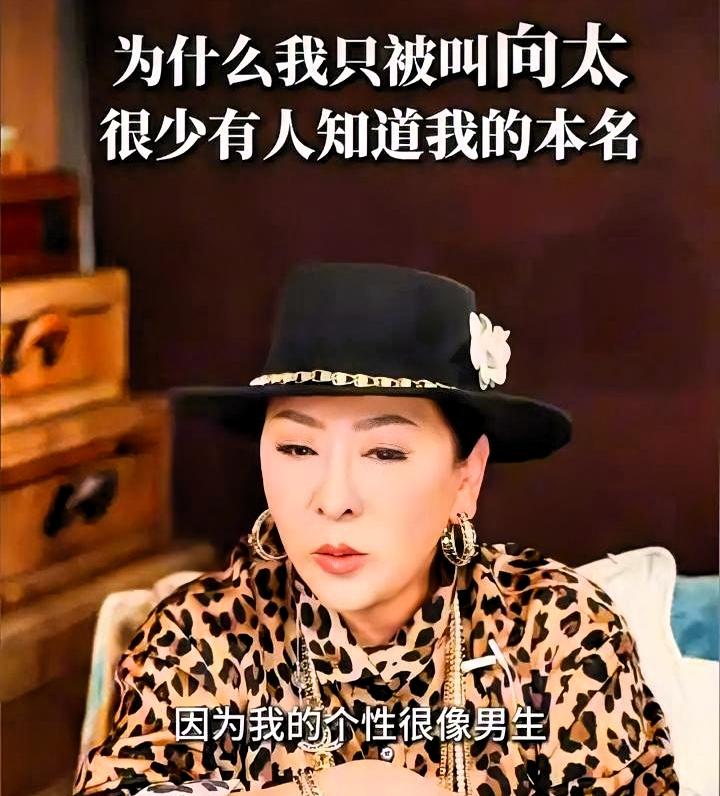 向太这一辈子，改的不是名字，是命。

从陈明英到陈男，从陈岚到向太，四次改名，每